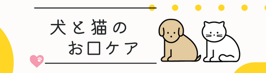 犬と猫のお口ケア