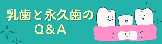 乳歯と永久歯のQ＆A