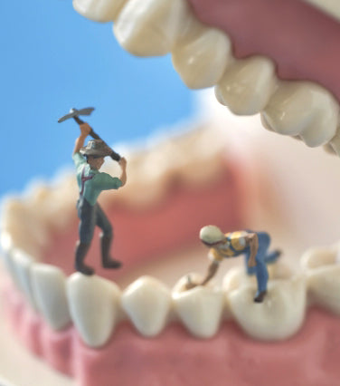 あなたを支えている歯は世界に一つずつしかありません。毎日の口腔ケアを虫歯予防に特化したものにステップアップするための、口腔ケア用品特集です。