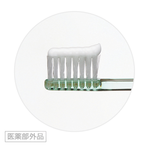 チェックアップ歯ブラシ - 4